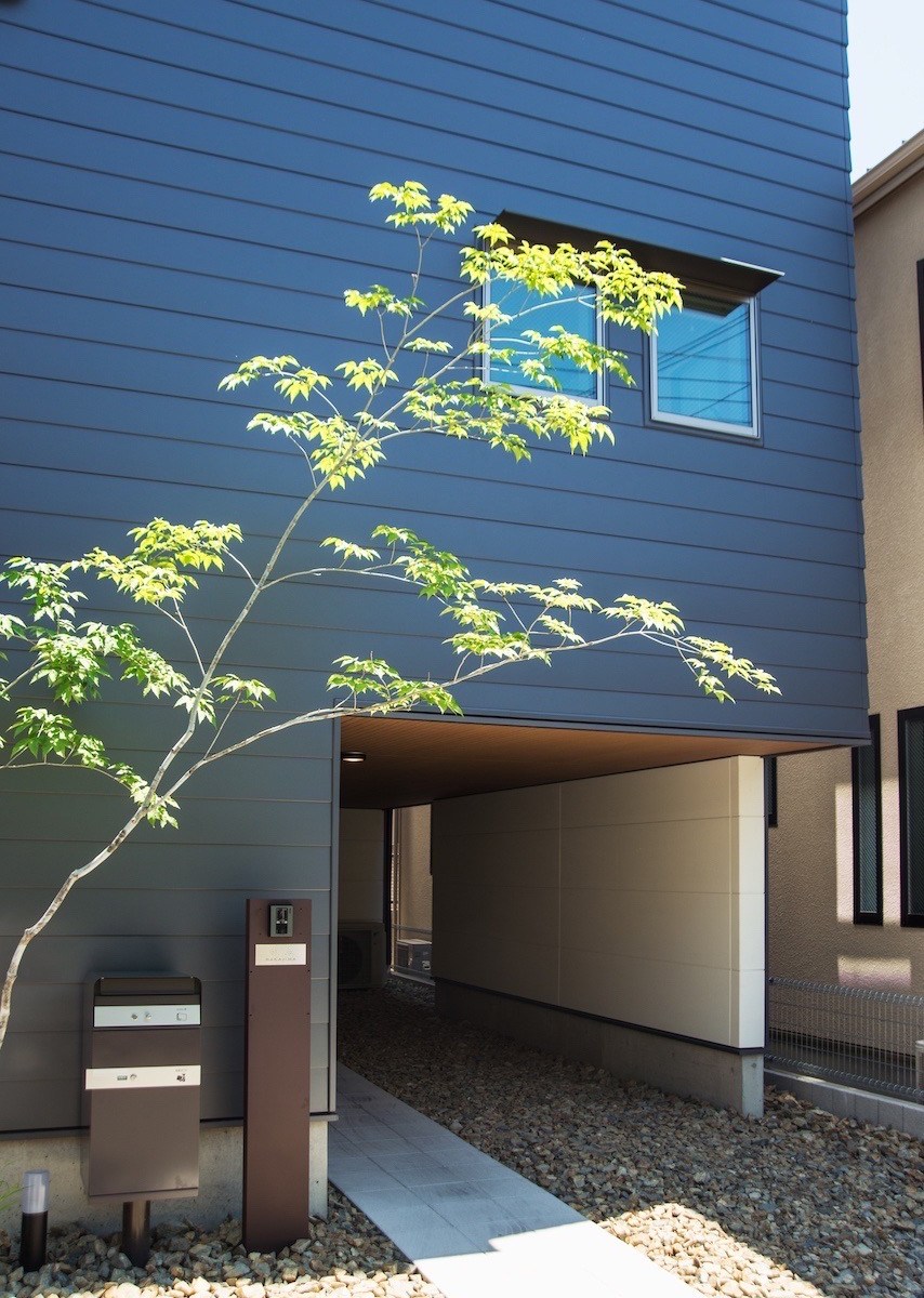 植栽はアオダモです。