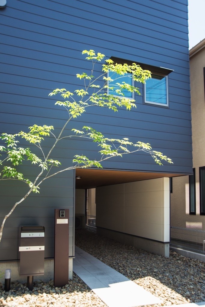 植栽はアオダモです。