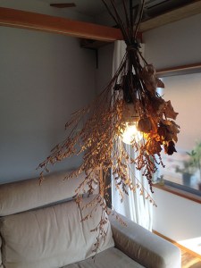 ドライフラワー001