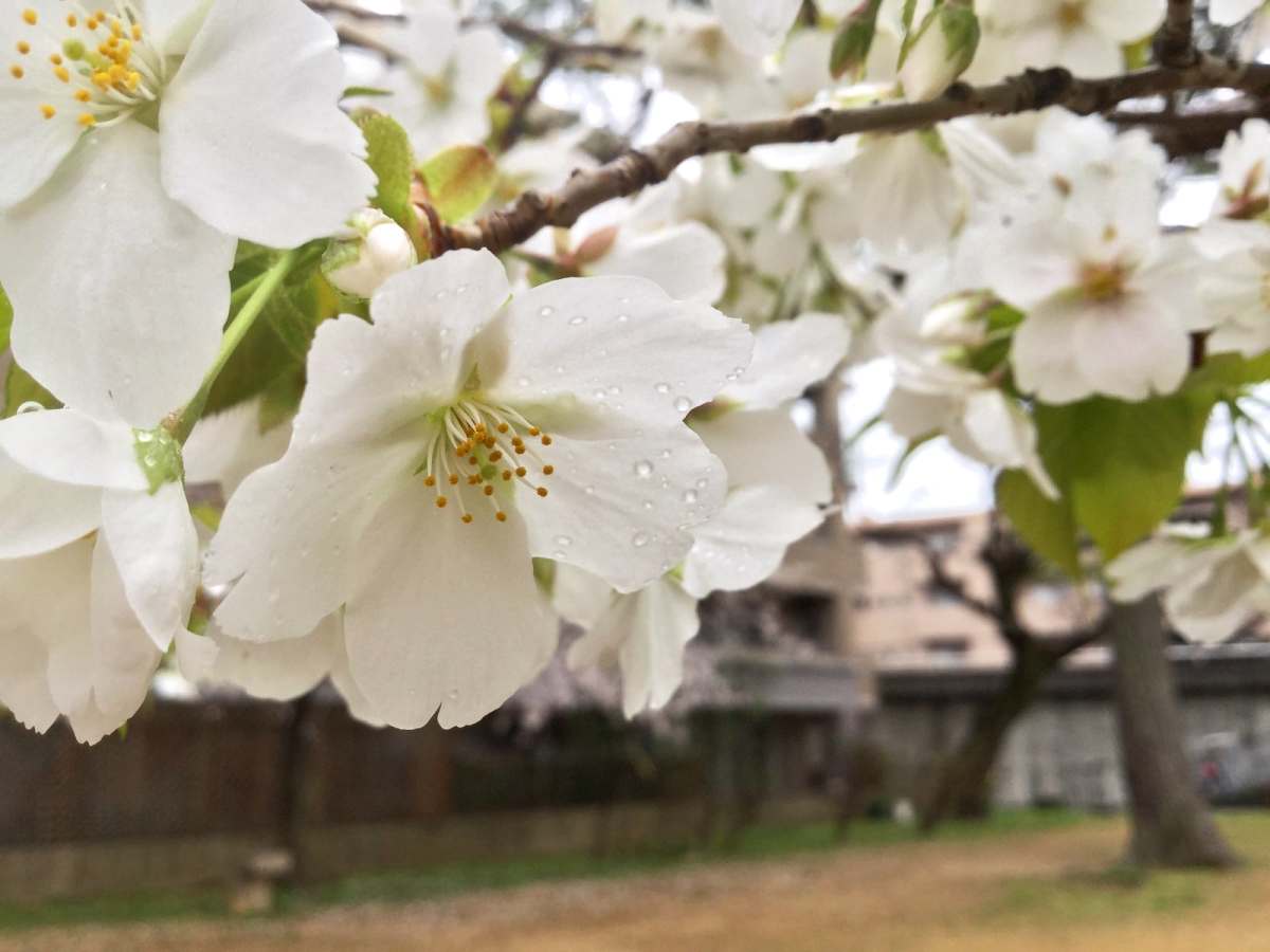 窓を開けて換気をしよう。